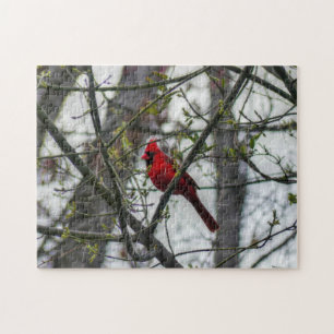 Puzzle Cardinal