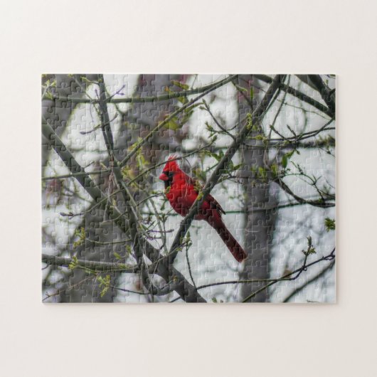 Puzzle Cardinal (Horizontal)