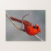 Puzzle cardinal (Horizontal)