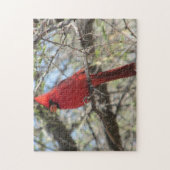 Puzzle cardinal (Vertical)