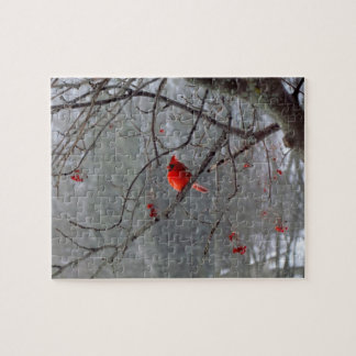 Puzzle cardinal