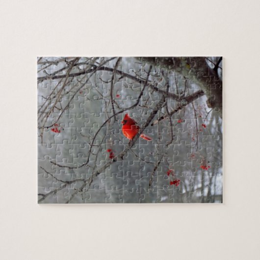 Puzzle cardinal (Horizontal)