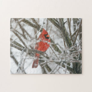 Puzzle Cardinal