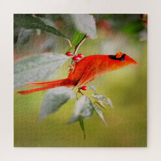 Puzzle Cardinal Bright (Horizontal)