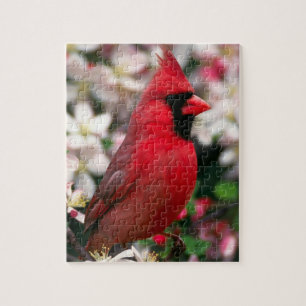 Puzzle Cardinal cardinal rouge