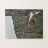 Puzzle Cardinal dans la neige (Horizontal)