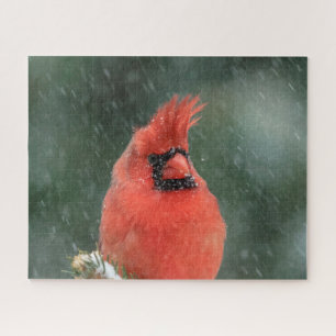 Puzzle Cardinal dans un pin pendant une tempête de neige