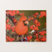 Puzzle Cardinal de Northern (Horizontal)