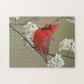 Puzzle Cardinal du Nord (Horizontal)