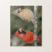 Puzzle cardinal du nord de photographie (Vertical)