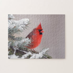Puzzle Cardinal du nord été perché dans un arbre