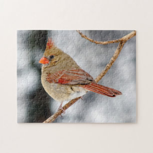 Puzzle cardinal du nord féminin