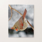 Puzzle cardinal du nord féminin (Vertical)