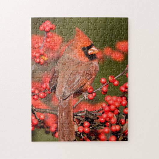 Puzzle Cardinal du Nord sur le canneberge commun (Vertical)