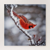 Puzzle Cardinal En Branche Hiver (Horizontal)