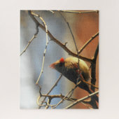 Puzzle Cardinal féminin perché (Vertical)