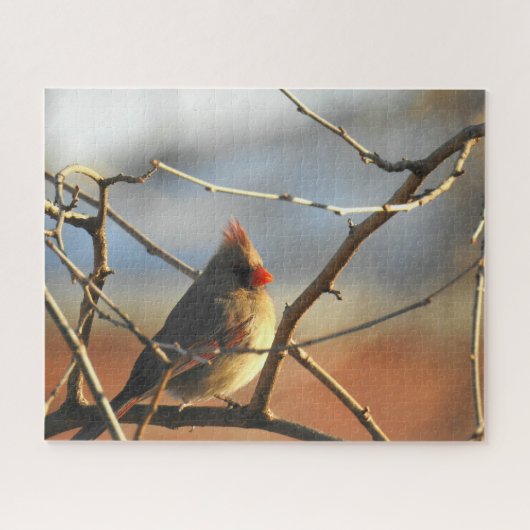 Puzzle Cardinal féminin perché (Horizontal)