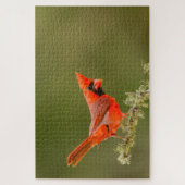 Puzzle Cardinal mâle sur une branche (Vertical)