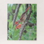 Puzzle Cardinal masculin et jeune, amoureux des oiseaux (Vertical)