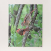 Puzzle Cardinal masculin et jeune, amoureux des oiseaux (Vertical)