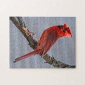 Puzzle Cardinal - Red Bird - 11x14 - 252 pc (Horizontal)