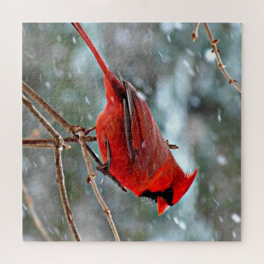 Puzzle Cardinal rouge dans la neige (Horizontal)