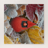 Puzzle Cardinal rouge dans les feuilles d'automne gelées (Horizontal)
