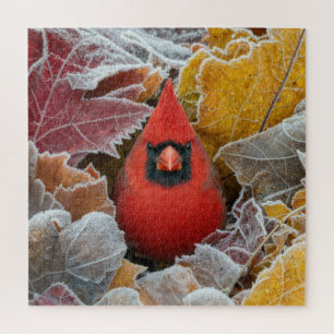 Puzzle Cardinal rouge dans les feuilles d'automne gelées
