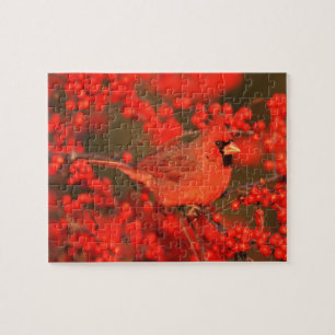 Puzzle Cardinal rouge du Nord mâle, IL