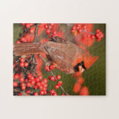 Puzzle Cardinal rouge sur un Houx verticillé (Horizontal)