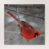 Puzzle Cardinal roux brillant en neige hivernale (Horizontal)