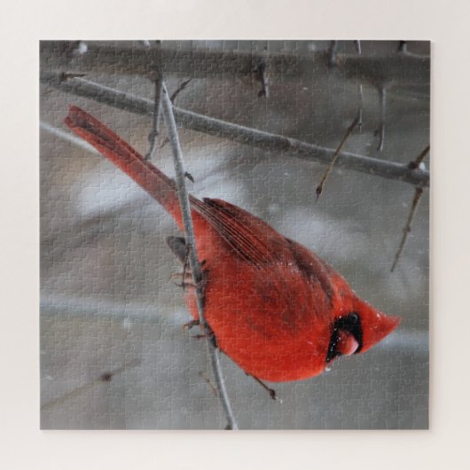 Puzzle Cardinal roux brillant en neige hivernale (Horizontal)