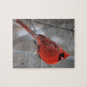 Puzzle Cardinal roux brillant en neige hivernale (Horizontal)