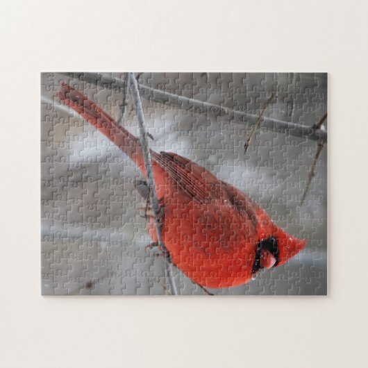 Puzzle Cardinal roux brillant en neige hivernale (Horizontal)