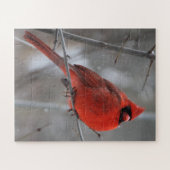 Puzzle Cardinal roux brillant en neige hivernale (Horizontal)