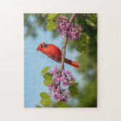 Puzzle Cardinal sur une branche de Redbud (Vertical)