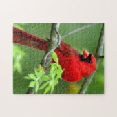 Puzzle Cardinaux du nord (Horizontal)