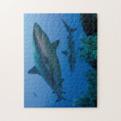 Puzzle Caribbean Reef Shark (Vertical)