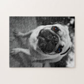 Puzzle Carlin beau (Horizontal)