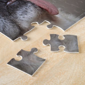 Puzzle Carlin de regard drôle avec la langue traînant (Côté)