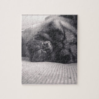 Puzzle Carlin de sommeil