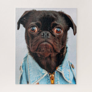 Puzzle Carlin en Denim Jackey Cute Adorable Chien Chien C