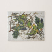 Puzzle Carolina Parakeet, de 'Birds of America', 1829 (Horizontal)
