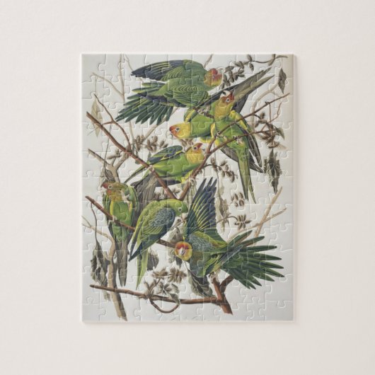 Puzzle Carolina Parakeet, de 'Birds of America', 1829 (Vertical)
