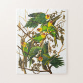 Puzzle Carolina Parrot par John James Audubon (Vertical)