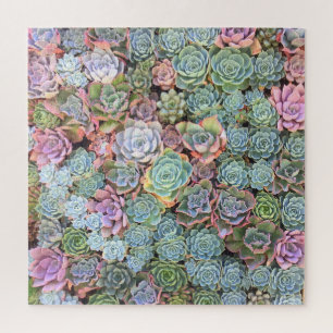 Puzzle Carré de jardin succulent Pastel aux couleu