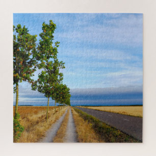 Puzzle Carretera Hacia Reliegos