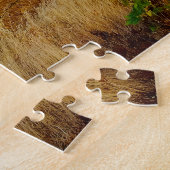 Puzzle Carretera Hacia Reliegos (Côté)