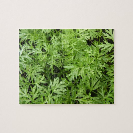 Puzzle Carrot Tops (Horizontal)