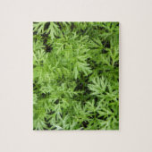 Puzzle Carrot Tops (Vertical)